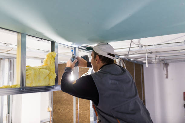 Best Energy-efficient Insulation  in Sherrill, NY