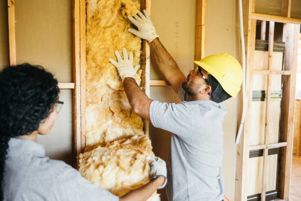 Best Insulation Repair Services  in Sherrill, NY